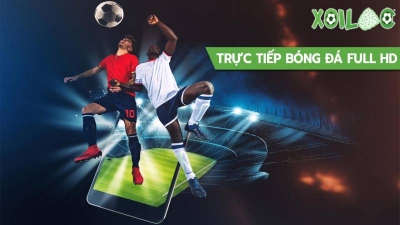 Xem bóng đá tại kênh Xoilac TV và những lưu ý cần ghi nhớ- https://anstad.com/
